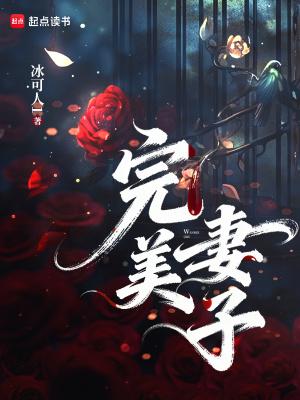 完美妻子